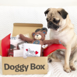 Doggy Box
