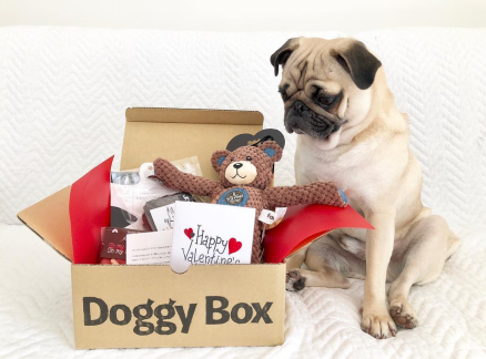 Doggy Box